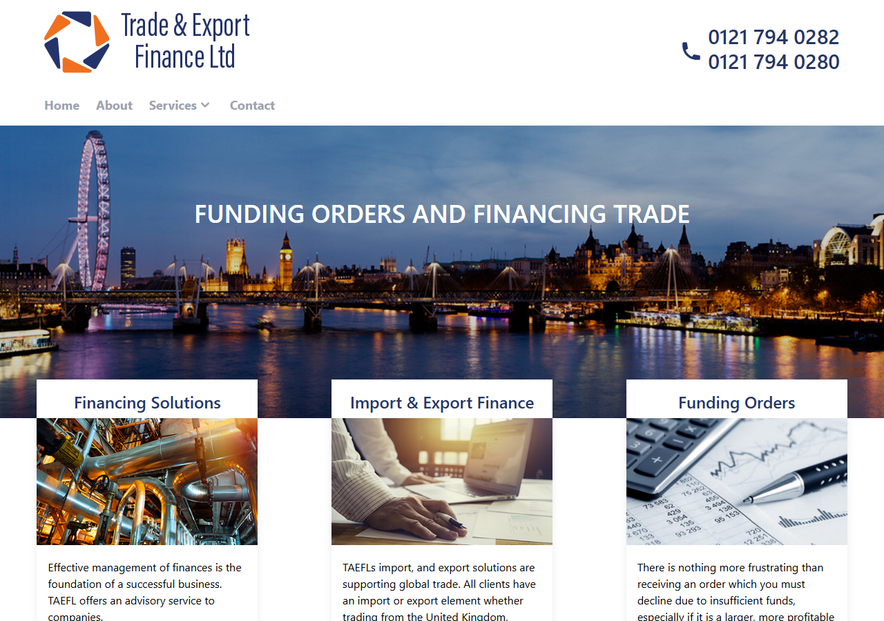 Trade & Export Finance Ltd screenshot